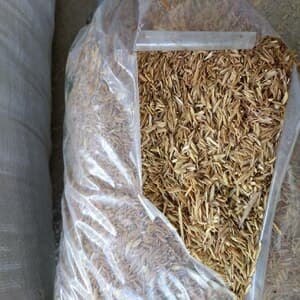 Sekam Padi Mentah Organic Rice Husk 稻壳 1 Bag/1 Beg (+- 1kg) - Image 1