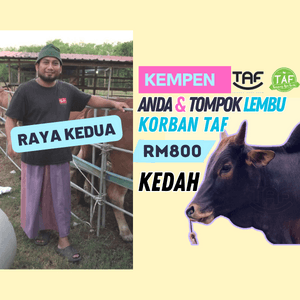 RAYA KEDUA* TOMPOK LEMBU KORBAN - Image 1