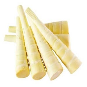 REBUNG BULUH MANIS HIRISAN - Image 1