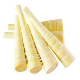 REBUNG BULUH MANIS HIRISAN - Thumbnail 1