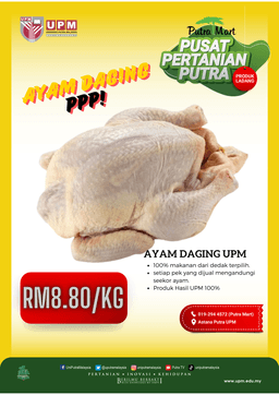 Ayam Daging Putramart UPM - Thumbnail 2