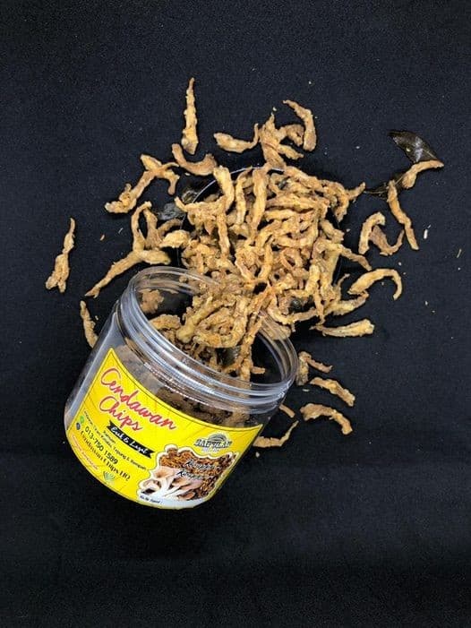 CENDAWAN CHIPS 170g