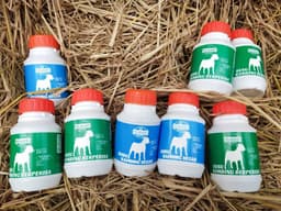 SUSU KAMBING SEGAR PELADANG BENUT - Thumbnail 2