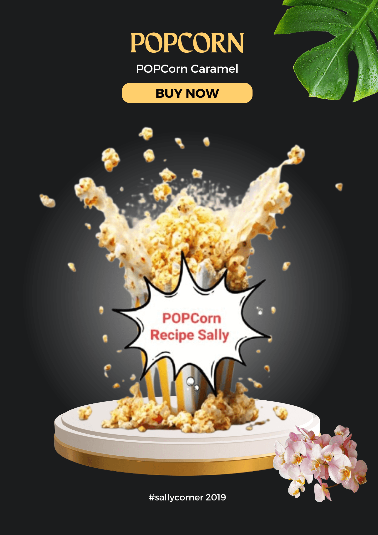 POPCorn Recipe Sally