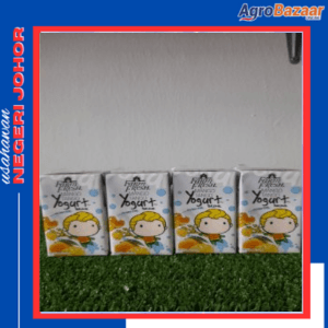 Yogurt Mango 125ml x 32pcs