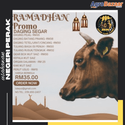 DAGING SEGAR INDAH - Thumbnail 1