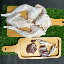 Ayam Kampong - Thumbnail 1