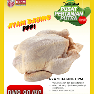 Ayam Daging Putramart UPM