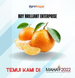 LIMAU MADU - Thumbnail 1