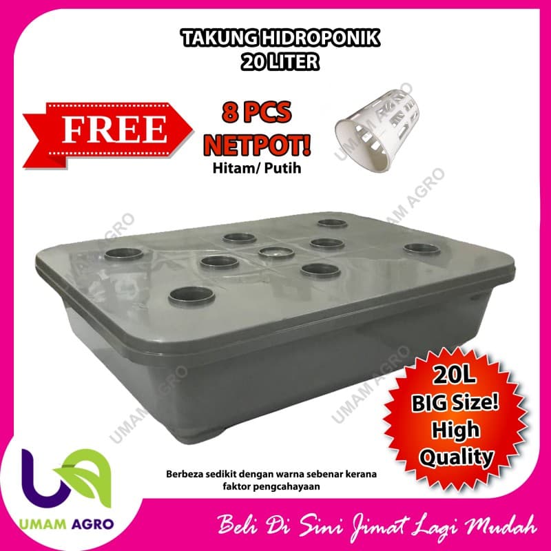 Set Hidroponik Takung