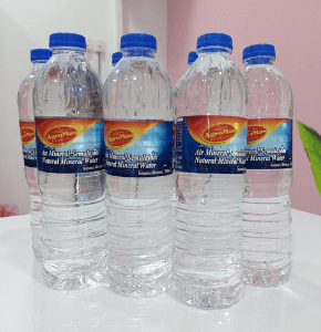[SELF PICKUP] Air Mineral 600ml x 24 botol (Karton) AGROMAS - Image 1