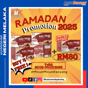 Package Combo Koko Minda Plus 4kotak Free 1kotak - Image 1