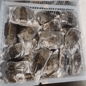 KETAM LEMBUT - Image 1