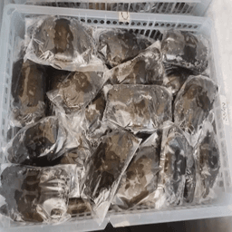 KETAM LEMBUT - Thumbnail 1