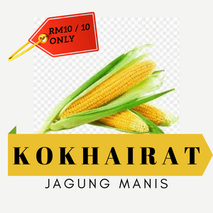 Jagung Manis KoKhairat