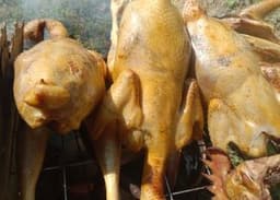 AYAM KAMPUNG ASLI - Thumbnail 1