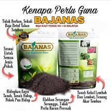 Baja Organik Bajanas 400gm - Image 1