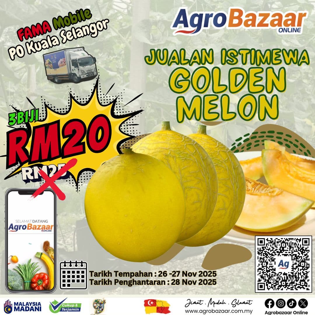 Kombo Golden Melon 3 Biji
