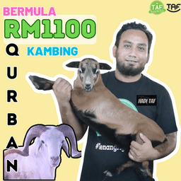 QURBAN KAMBING RM1100 - Thumbnail 1