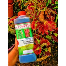 Vita Power Plus - Thumbnail 2