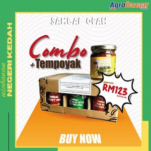 SET COMBO + TEMPOYAK - Image 1