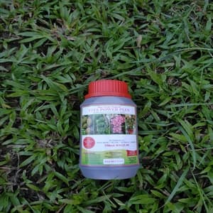 Vita Power Plus - Image 1