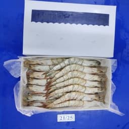 White Prawn - Thumbnail 1