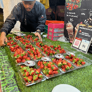 Fresh Strawberry Small Pack