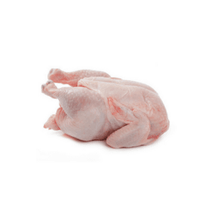 AYAM SEGAR - Image 1