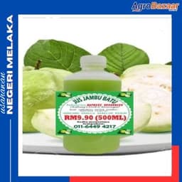 COMBO JUS JAMBU 500ML 5BOTOL - Thumbnail 1