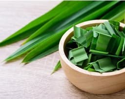 Daun Pandan Wangi - Thumbnail 1