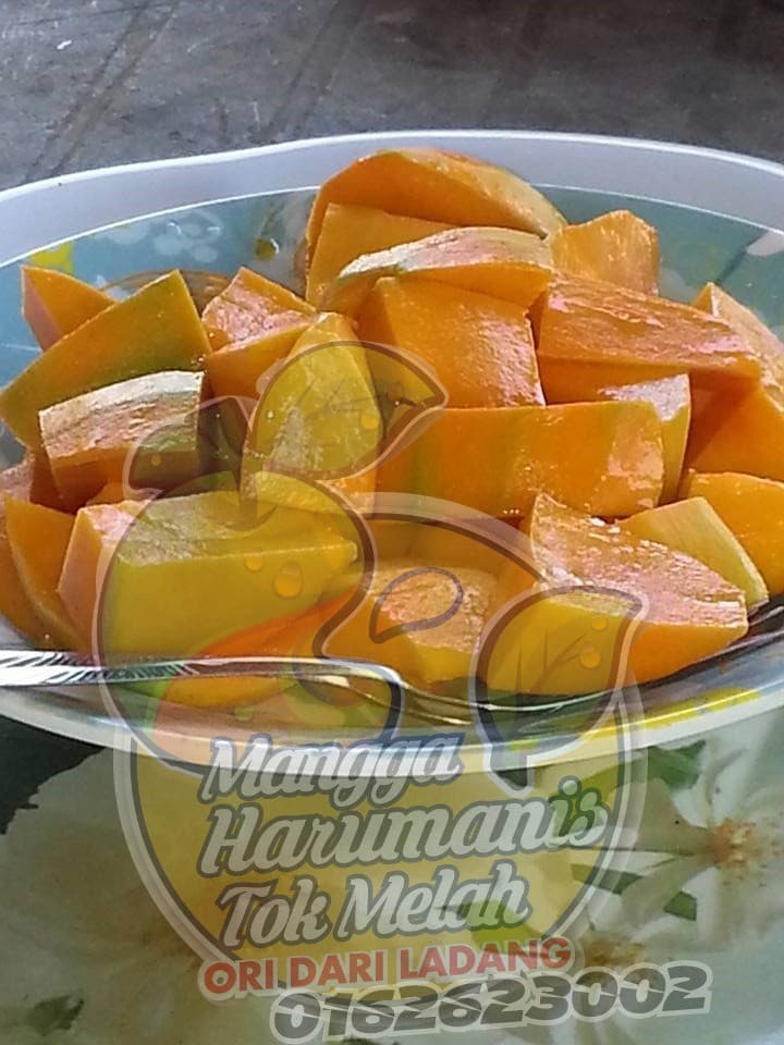 MANGGA HARUMANIS TOK MELAH - Image 1