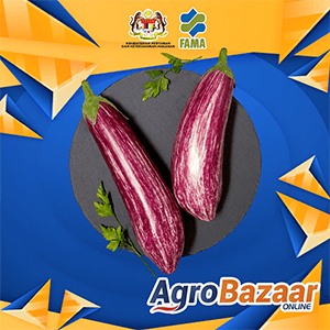 KOMBO TERUNG MINI 7KG Pusat Operasi FAMA Perlis - Image 1