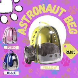 Astronaut Beg - Thumbnail 1