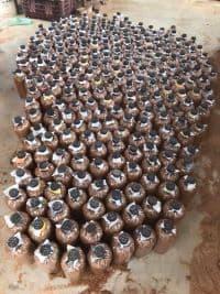 CENDAWAN TIRAM KELABU - Image 1