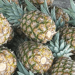 MD2 gred A - Thumbnail 1