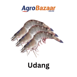 UDANG SEGAR