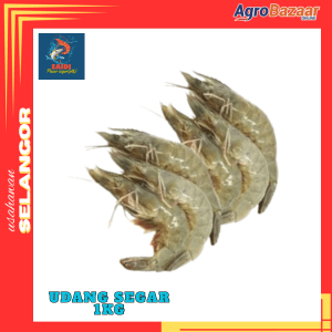 Promosi Udang Segar 1kg - Image 1