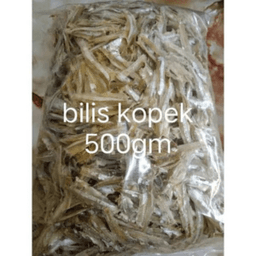 BILIS MATA BIRU TANJUNG DAWAI - Thumbnail 1