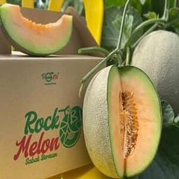 SELF PICKUP-ROCK MELON - Thumbnail 1