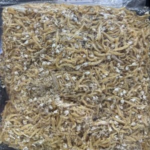 IKAN BILIS BELAH 1KG - Image 1