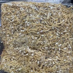 IKAN BILIS BELAH 1KG - Thumbnail 1