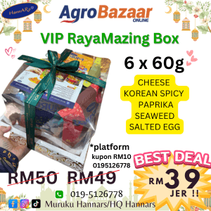 VIP RayaMazing Box - Image 1