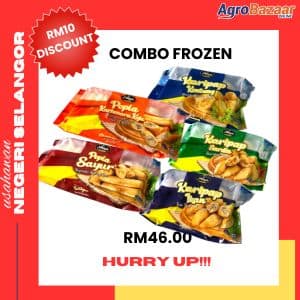SET COMBO KUIH FROZEN
