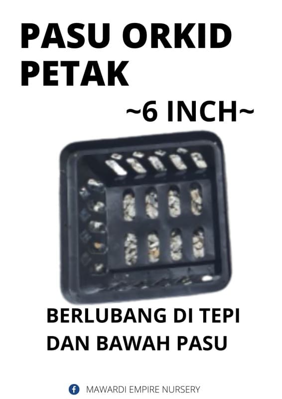 Pasu Orkid Petak Saiz 6 inch - Image 1