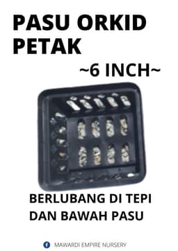 Pasu Orkid Petak Saiz 6 inch - Thumbnail 1