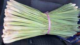 SERAI PEHA AYAM - Thumbnail 1