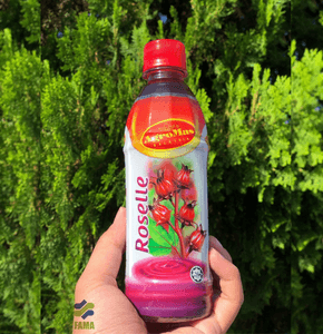 Jus Minuman Terus (RTD) Roselle 350ml - Image 1