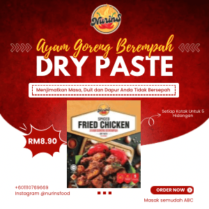 Pes Kering Ayam Goreng Berempah Nurins 50g