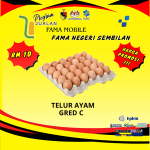 Telur Ayam Sepapan 30 Biji / Gred B